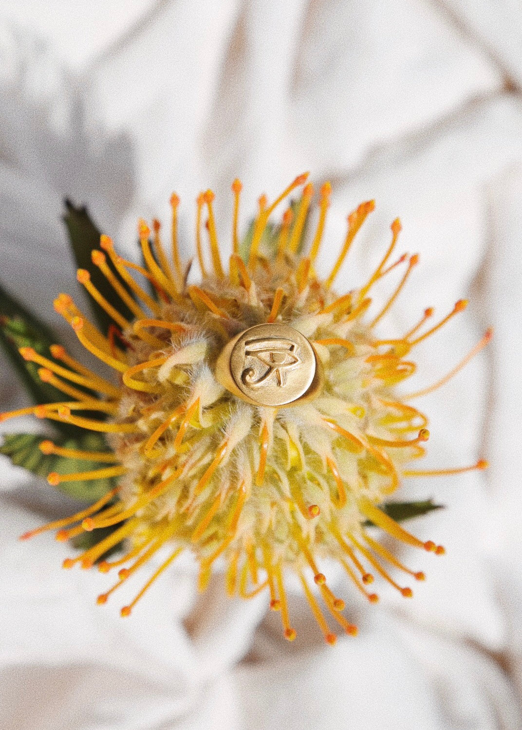 Eye of Horus Signet Ring